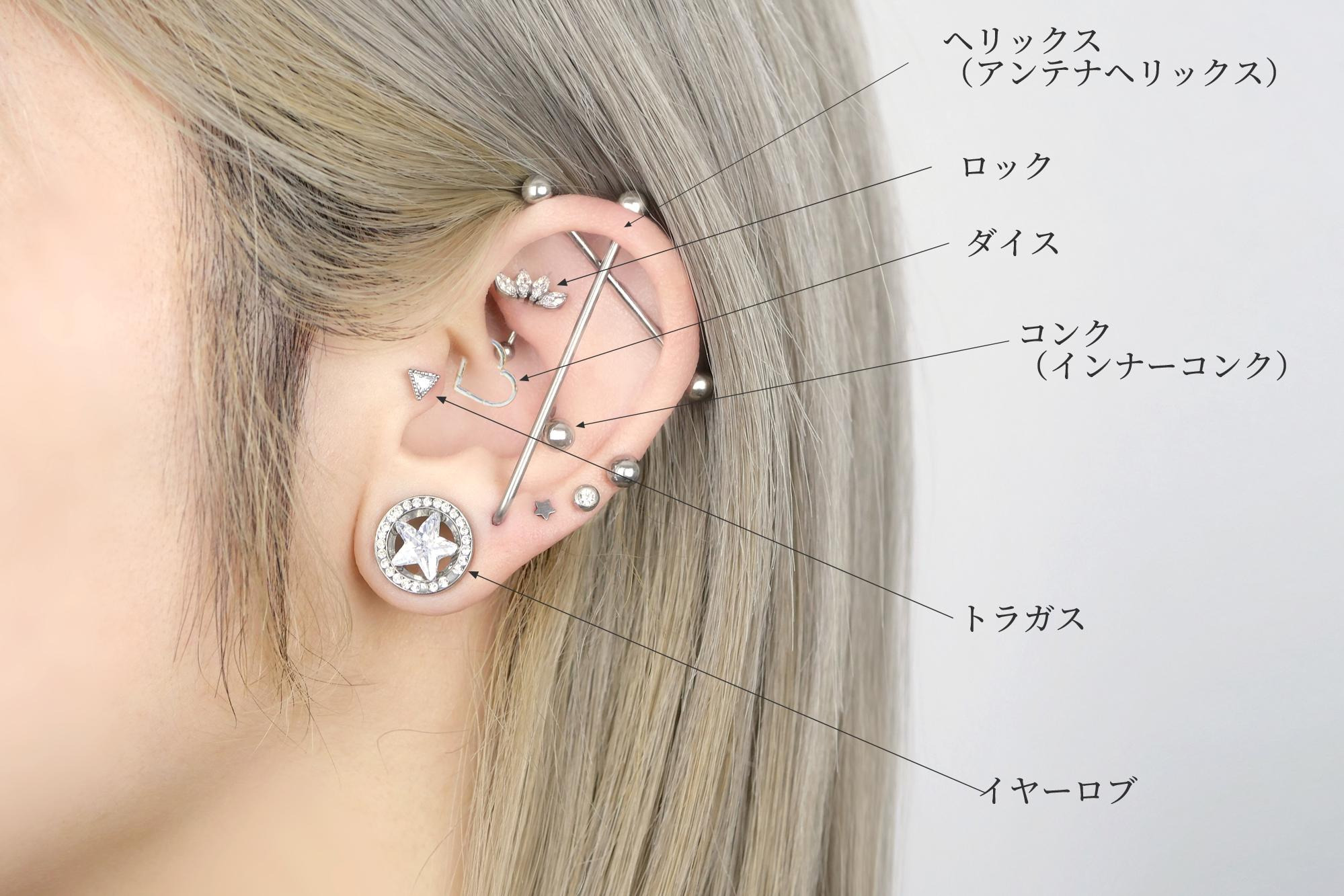 ピアスホールを開ける位置の基本と名称